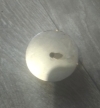 Магніт кільце ᴓ D60-6/16x30mm з дефектом